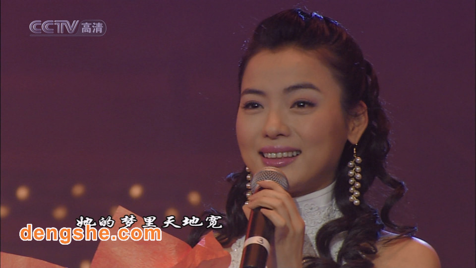 央视.中华情全球华语优秀原创歌曲大型演唱会2004.周传雄.梁静茹.刘若英.林志炫.张宇.朴树.费玉清.姜育恒.辛晓琪.19.3G.1080P高清演唱会.TS